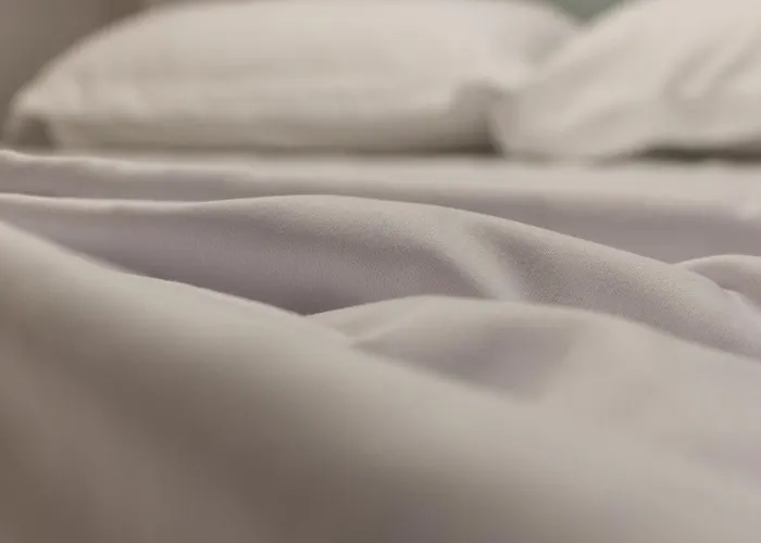 Kapsul カプセルホテル *